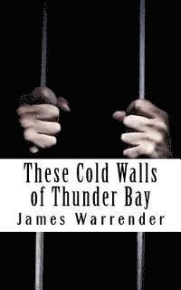 bokomslag These Cold Walls Of Thunder Bay