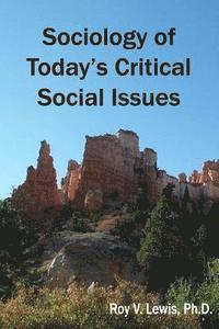 bokomslag Sociology of Today's Critical Social Issues