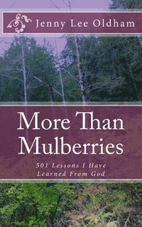 bokomslag More Than Mulberries: 501 Lessons I Have Learned From God