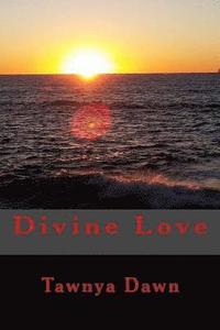 bokomslag Divine Love