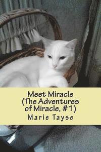 bokomslag Meet Miracle: (The Adventures of Miracle, Volume 1)