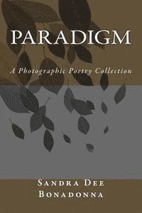 bokomslag Paradigm: A Photographic Poetry Collection
