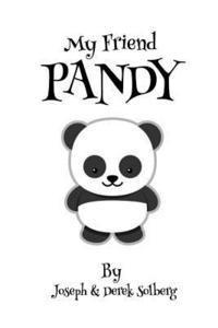 bokomslag My Friend Pandy