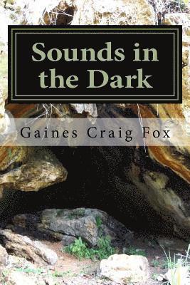 Sounds in the Dark: A Juvenile Adventure Novel 1