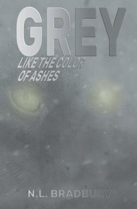 bokomslag Grey Like the Color of Ashes