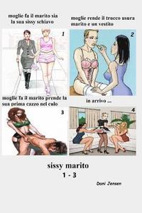 bokomslag Sissy Combinazione Marito Libro 1-3