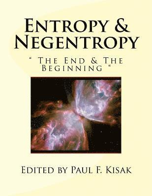 bokomslag Entropy & Negentropy: ' The End & The Beginning '