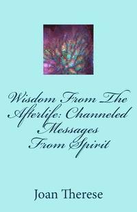 bokomslag Wisdom From The Afterlife: Channeled Messages From Spirit