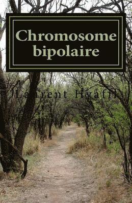 Chromosome bipolaire 1