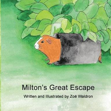 bokomslag Milton's Great Escape