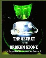 bokomslag The Secret of the Broken Stone: The Microscopic World Series Book 2