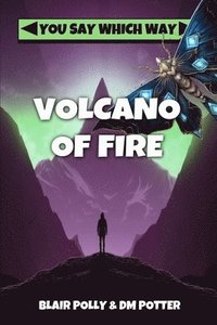 bokomslag Volcano of Fire