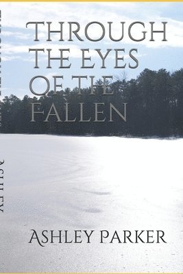 bokomslag Through the Eyes of the Fallen