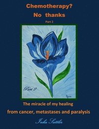 bokomslag Chemotherapy? No thanks: The miracle of my healing from cancer, metastases and