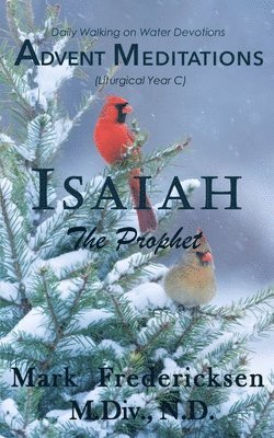 bokomslag Advent Meditations (Liturgical Year C): Isaiah, the Prophet