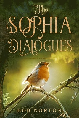 bokomslag Sophia Dialogues