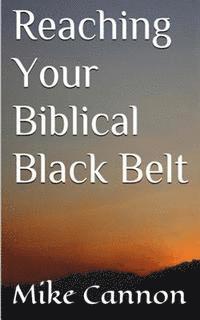 Reaching Your Biblical Black Belt 1