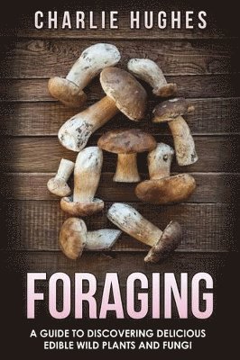 bokomslag Foraging