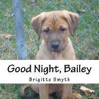 bokomslag Good Night, Bailey