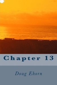 bokomslag Chapter 13