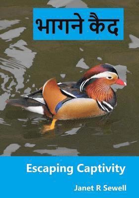 Escaping Captivity: A Simple Guide to Becoming Whole in Christ 1