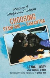 Adventures of Stanford and Samantha: Choosing Stanford and Samantha 1