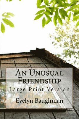 An Unusual Friendship: Large Print Version 1