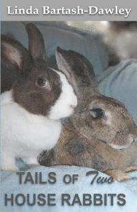 bokomslag Tails of Two House Rabbits