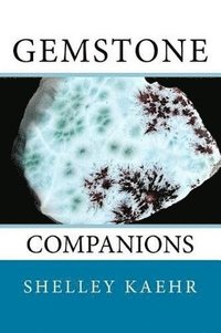 bokomslag Gemstone Companions