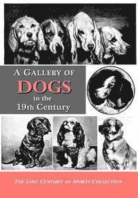 bokomslag A Gallery of Dogs in the 19th Century: 350 Photographs & Illustrations from 50 Books & Magazines Published from 1858 to 1898