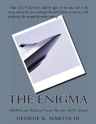 bokomslag The Enigma