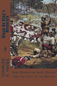 bokomslag Blood On King's Mountain