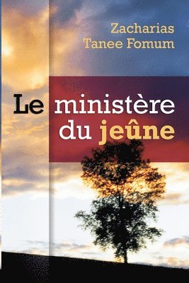 bokomslag Le Ministere du Jeune