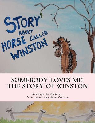 Somebody Loves Me! 2: The Story of Winston 1