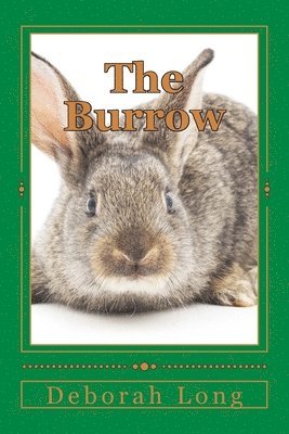 bokomslag The Burrow: A book for the very young, and for the young at heart.