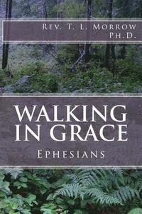 bokomslag Walking in Grace: A study of the book of Ephesians