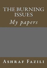 bokomslag The Burning Issues: My papers