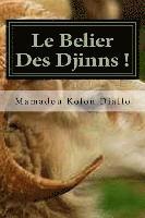 bokomslag Le Belier Des Djinns !