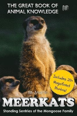 Meerkats: Standing Sentries of the Mongoose Family 1