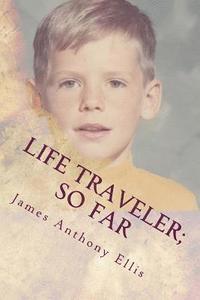 bokomslag Life Traveler; So Far: A Casual Collection of Eternal Truths & One Story about a Little Boy