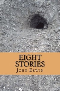 bokomslag Eight Stories
