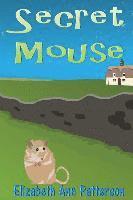 Secret Mouse 1