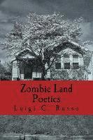 bokomslag Zombie Land Poetics