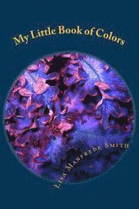 Lisa Manfrede Smith - My Little Book of Colors: Auras, Chakras and Energy - ACE the Colors, Häftad