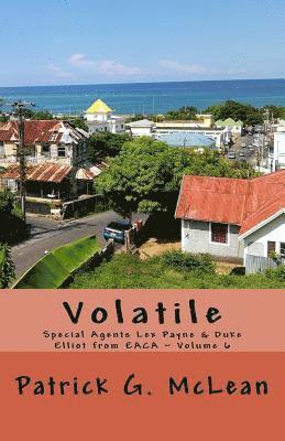 bokomslag Volatile: Special Agents Lex Payne & Duke Elliot from EACA Volume 6