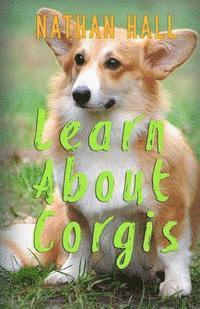 bokomslag Learn About Corgis