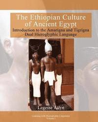 bokomslag The Ethiopian Culture of Ancient Egypt: Introduction to the Amarigna and Tigrigna Dual Hieroglyphic Language