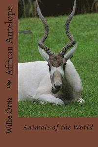 bokomslag African Antelope: Animals of the World