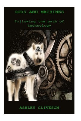 bokomslag Gods and Machines: Following the path of technology