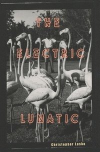 bokomslag The Electric Lunatic